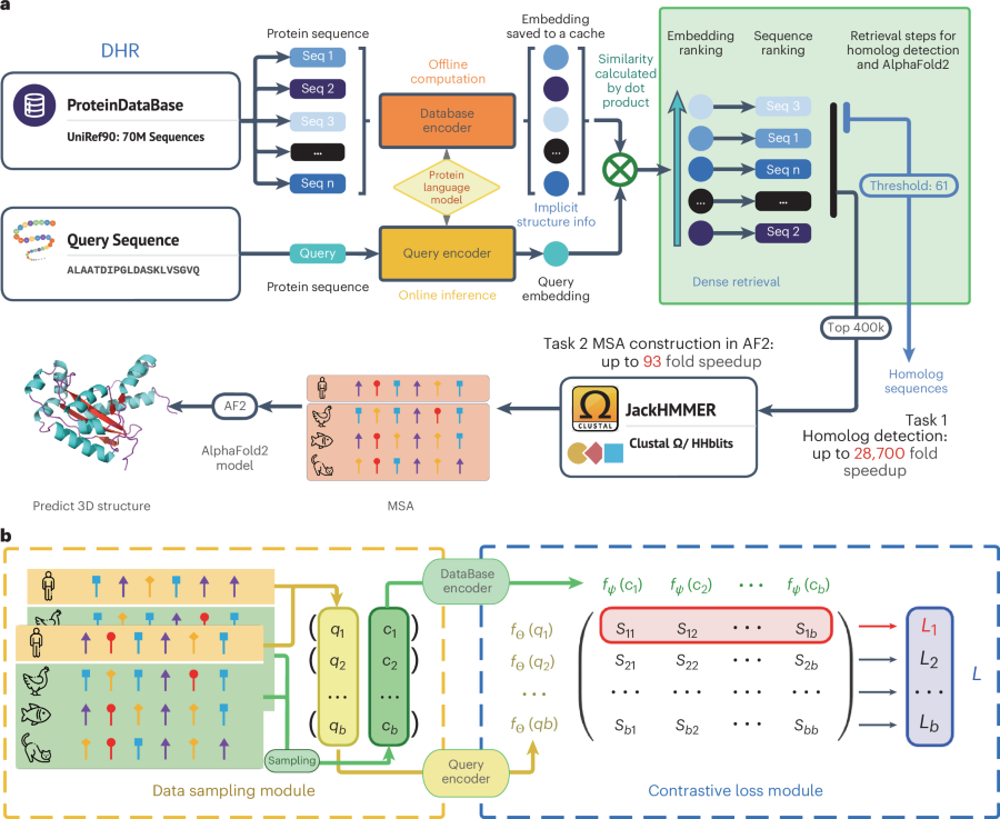 Fast, sensitive detection of protein homologs using deep dense retrieval