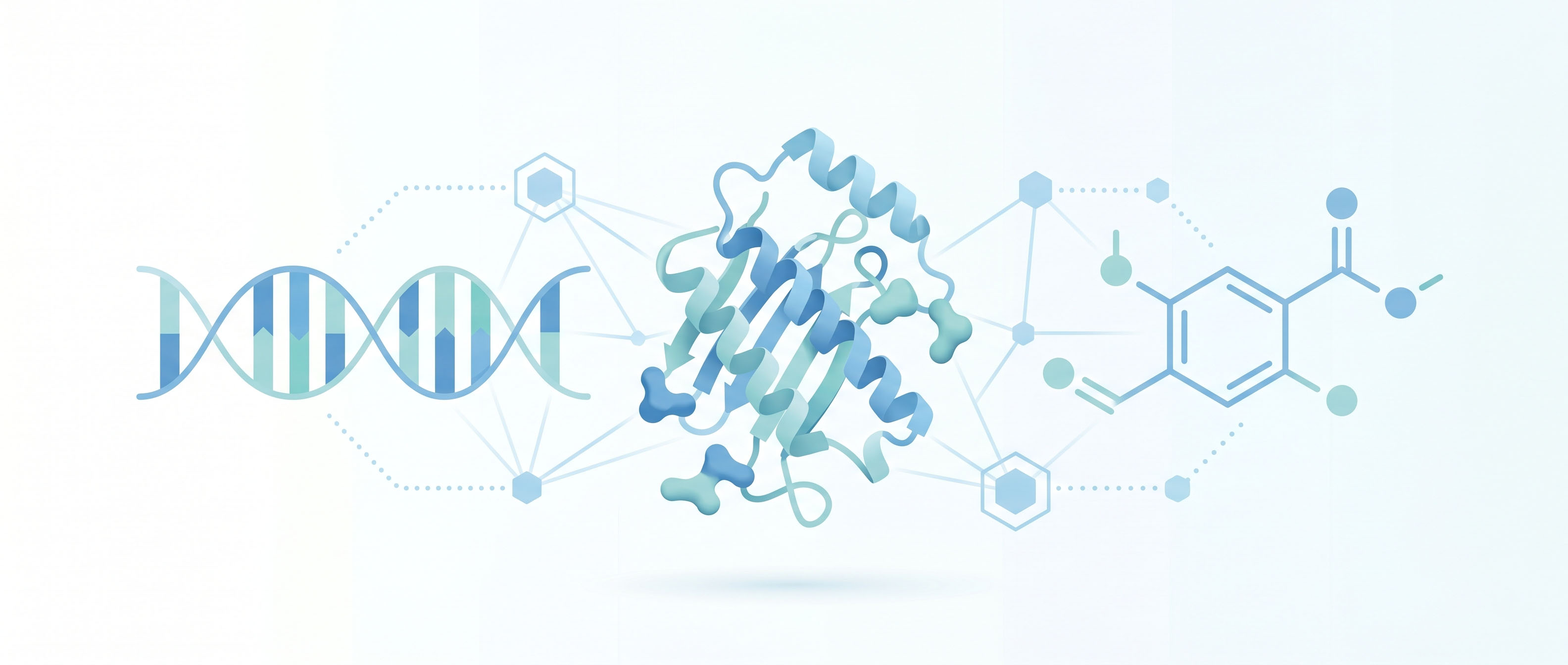 Foundation models for drug discovery