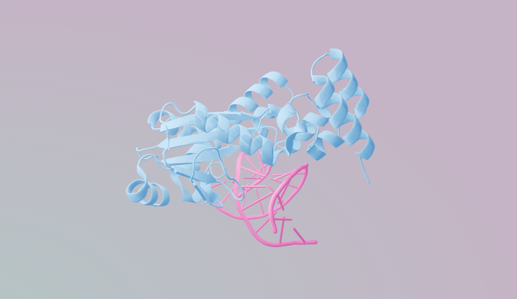 Foundation models for drug discovery